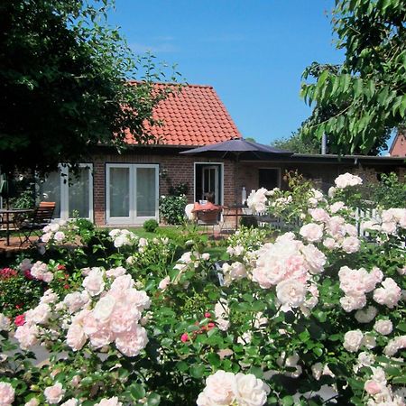 "Rosenkate 1" Apartment Riepsdorf Exterior foto