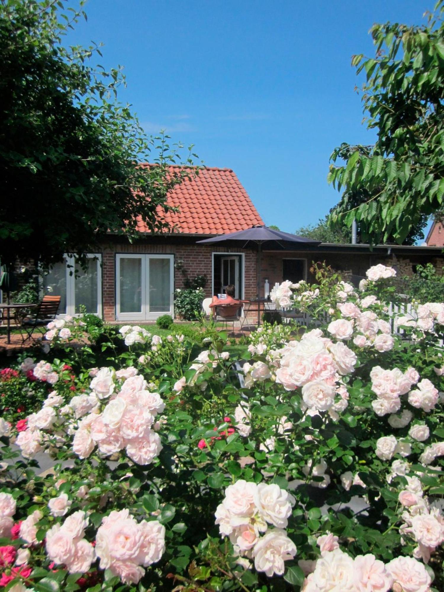 "Rosenkate 1" Apartment Riepsdorf Exterior foto